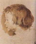 Portrait of Younger Rubens Peter Paul Rubens